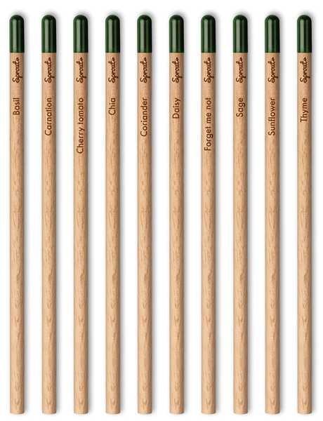 Ołówek Sprout™ | Pencil