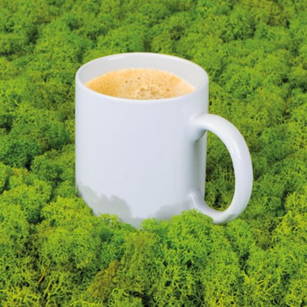 Kubek ceramiczny 300 ml 8788806-162436