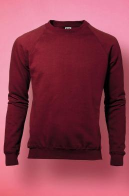 237.52 Męska bluza Raglan
